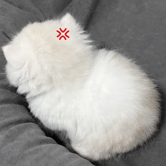 闪闪发光饰品 店铺LOGO
