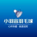 小羽宙羽毛球装备
