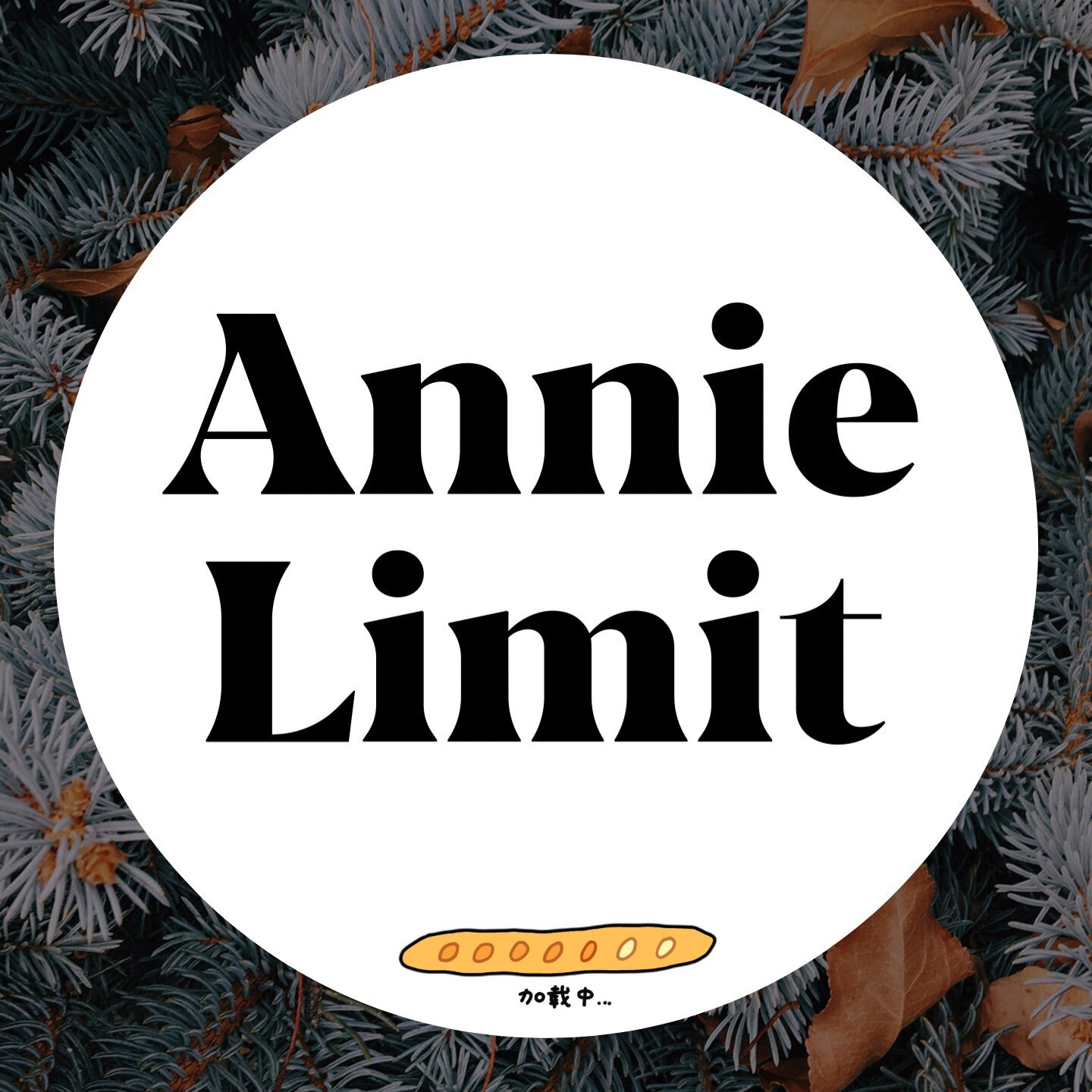 Annie安妮韩版定制精品女装批发