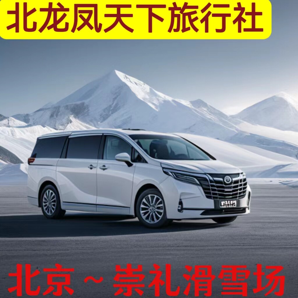 北京龙凤天下旅行社专营店