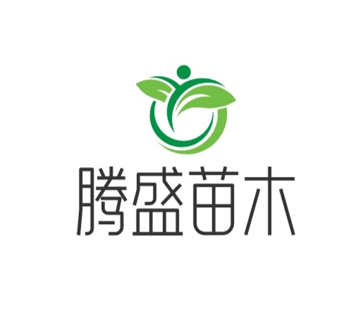腾盛绿化苗木基地