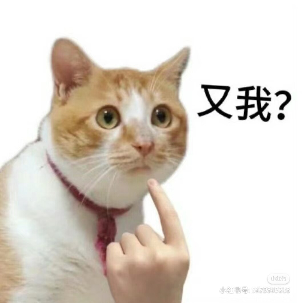 张翠花 Tracy Zhang全店大码