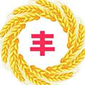 大唛商贸