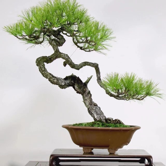 徐州子渊仿真花加工厂