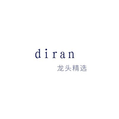 diran龙头精选