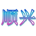 顺兴速达汽配 店铺LOGO