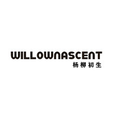 Willow nascent  杨柳初生