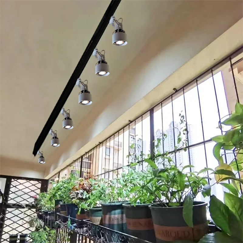 新科植物灯具店