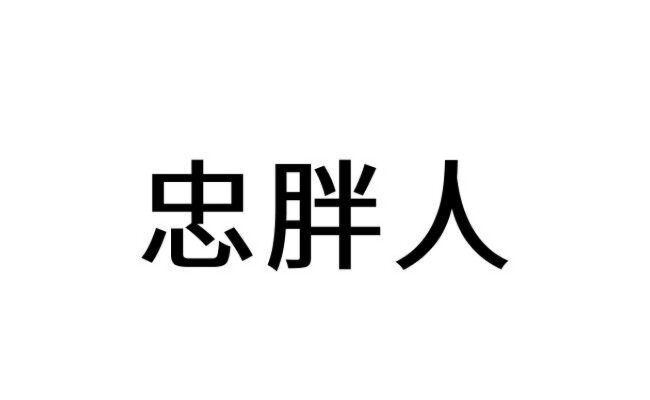 忠胖人户外烧烤用品