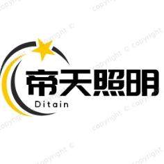 帝天照明企业店 店铺LOGO