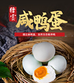 丽水多禾食品
