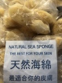 希腊海绵仓库