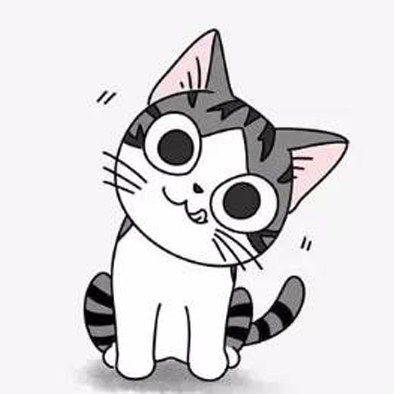 卖鞋的嘟嘟猫