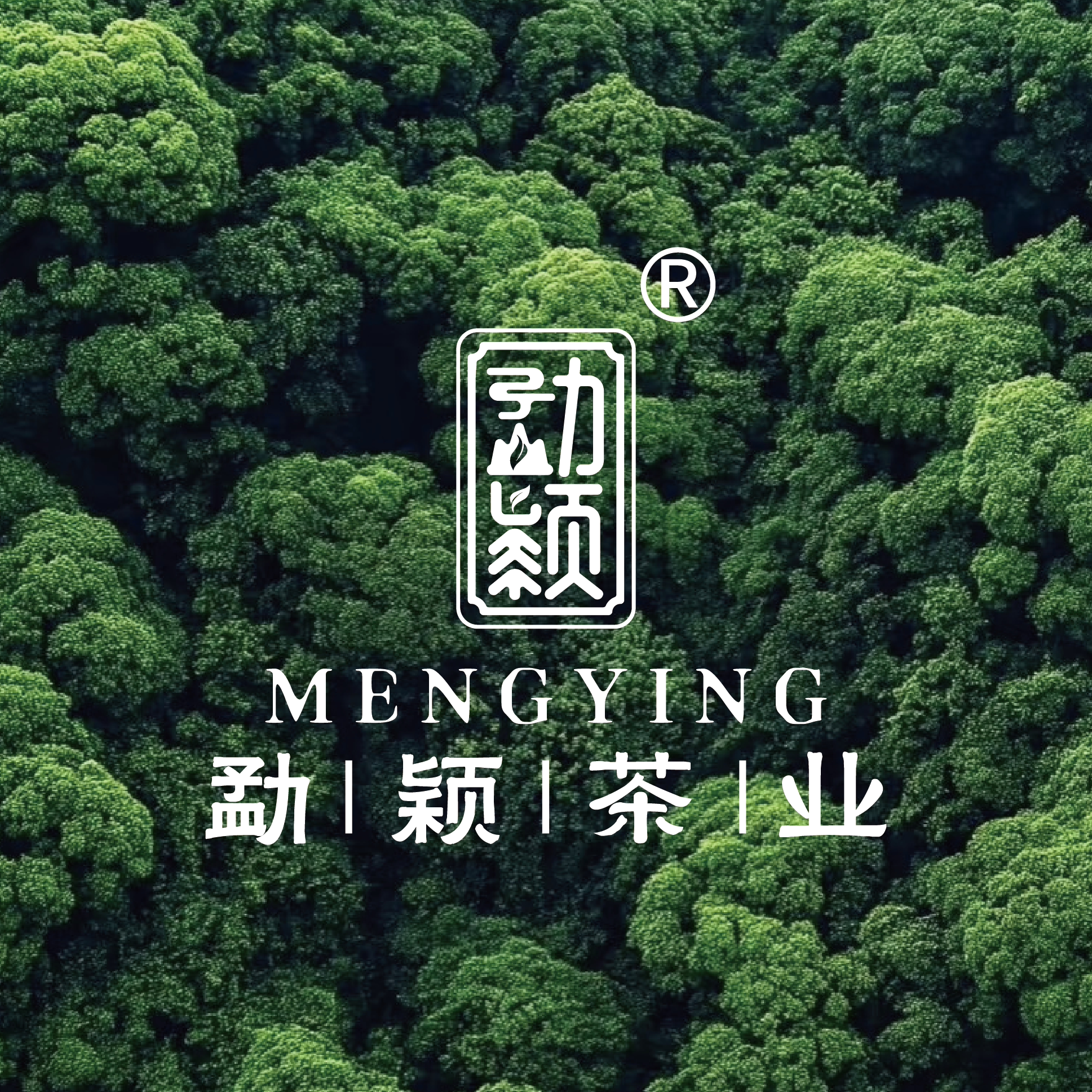 勐颖茶业