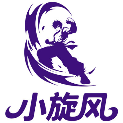 小旋风专业摇杆