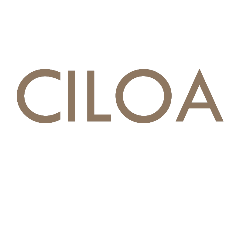 CILOA 时空表行