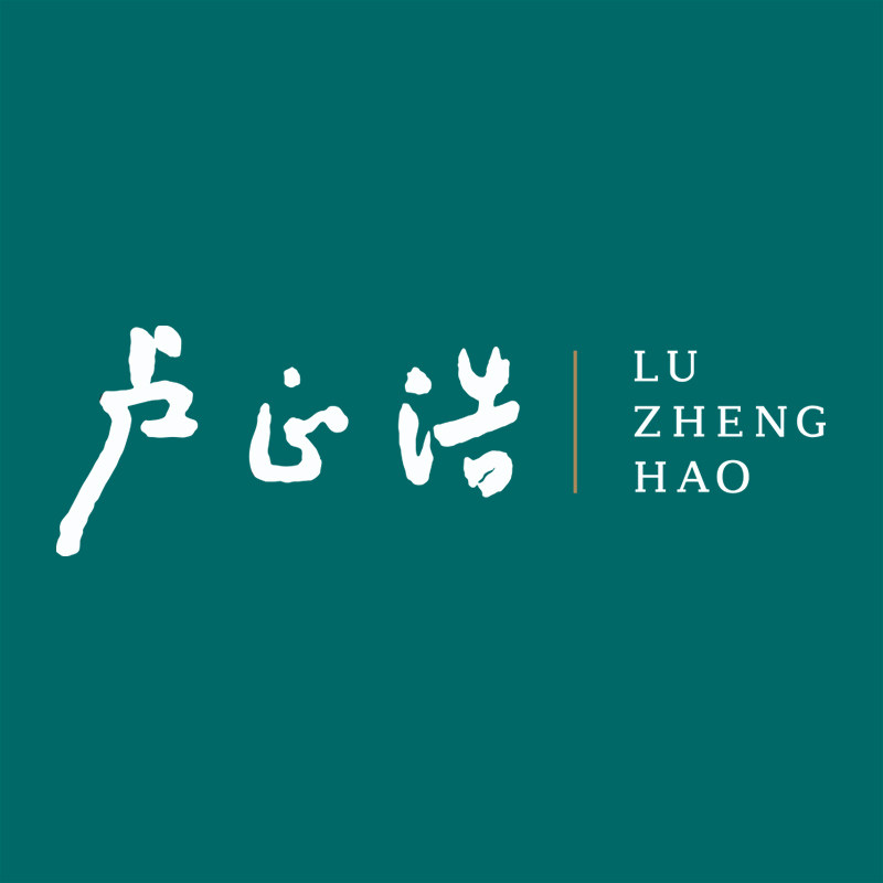 卢正浩旗舰店
