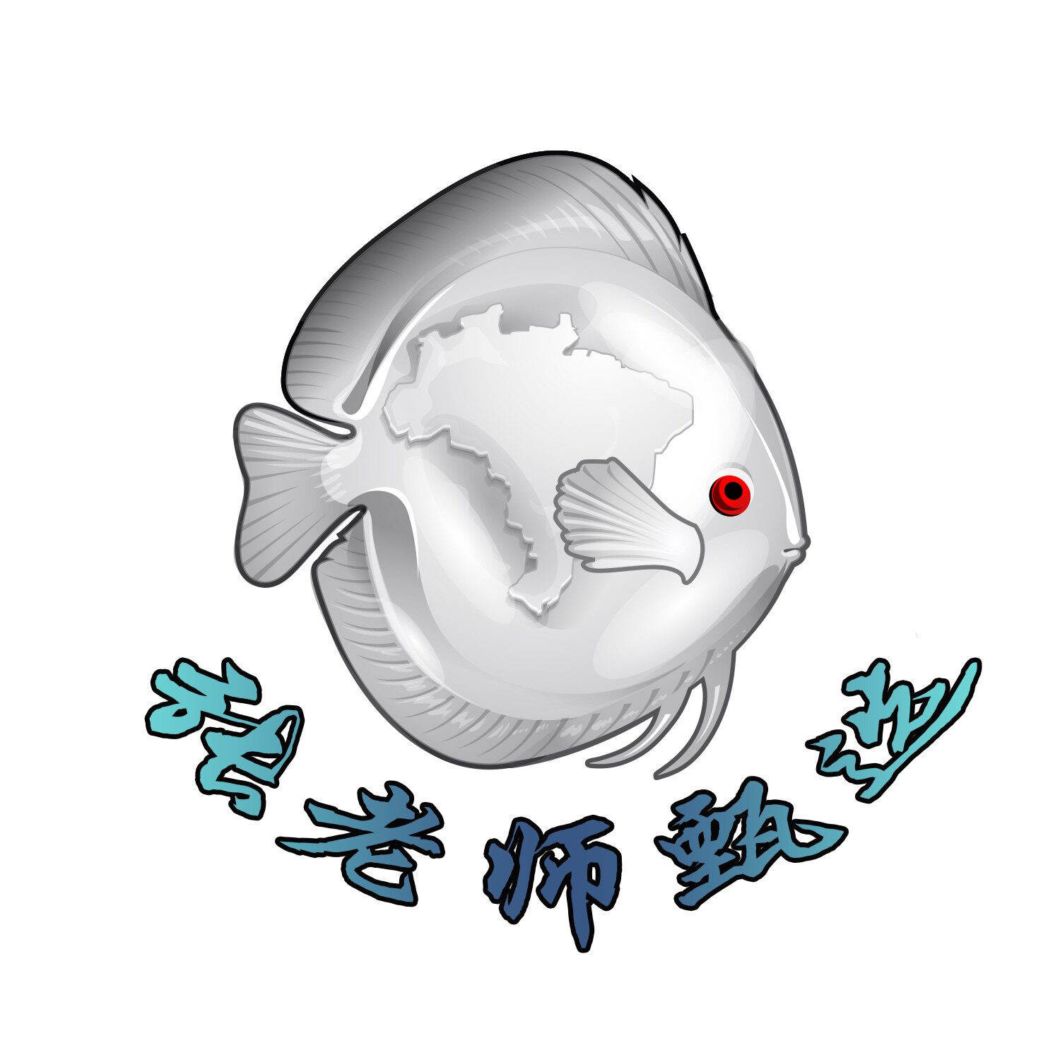 张老师甄选