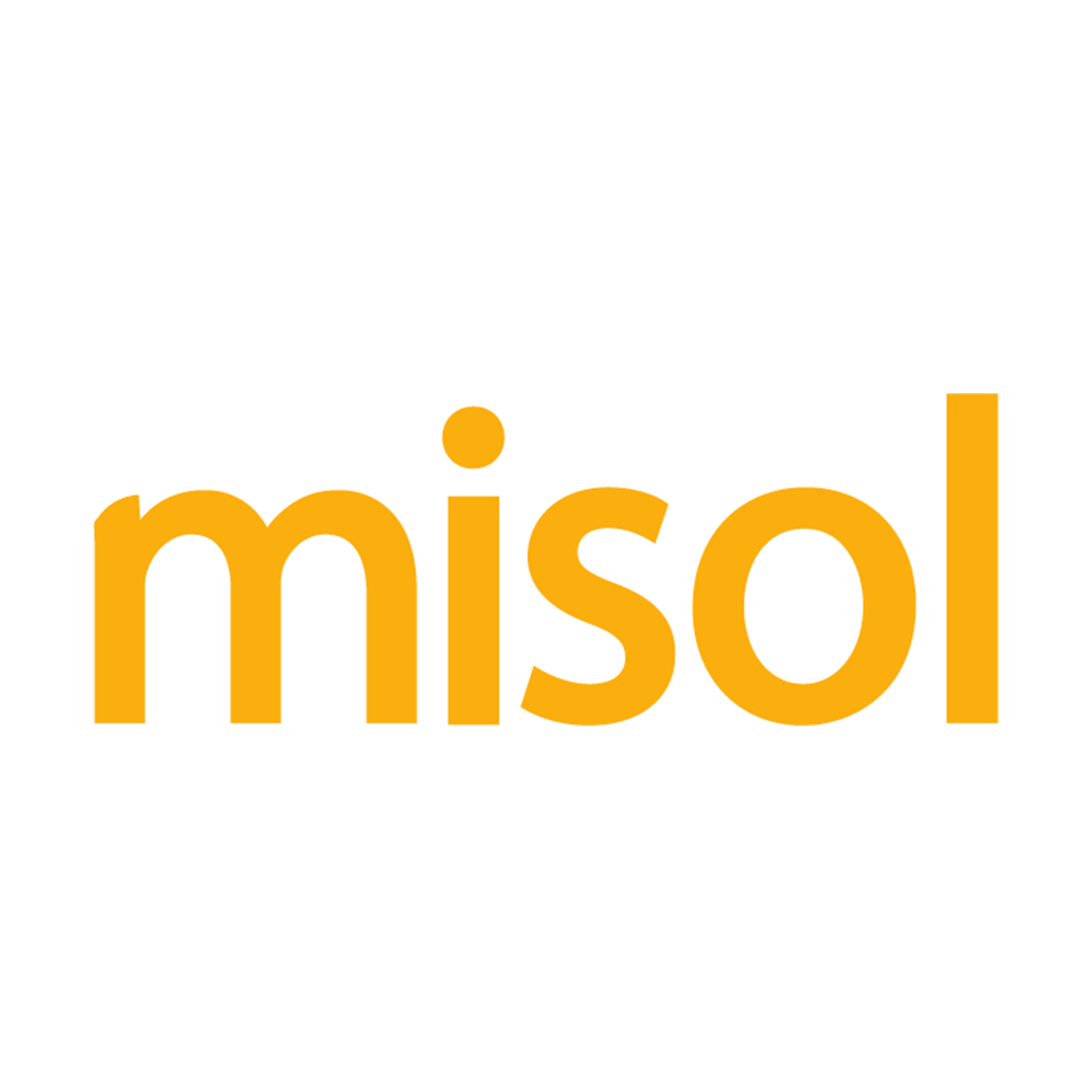 misol 气象仪企业店 店铺LOGO