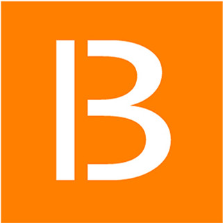 鲁班七号籏舰店 店铺LOGO