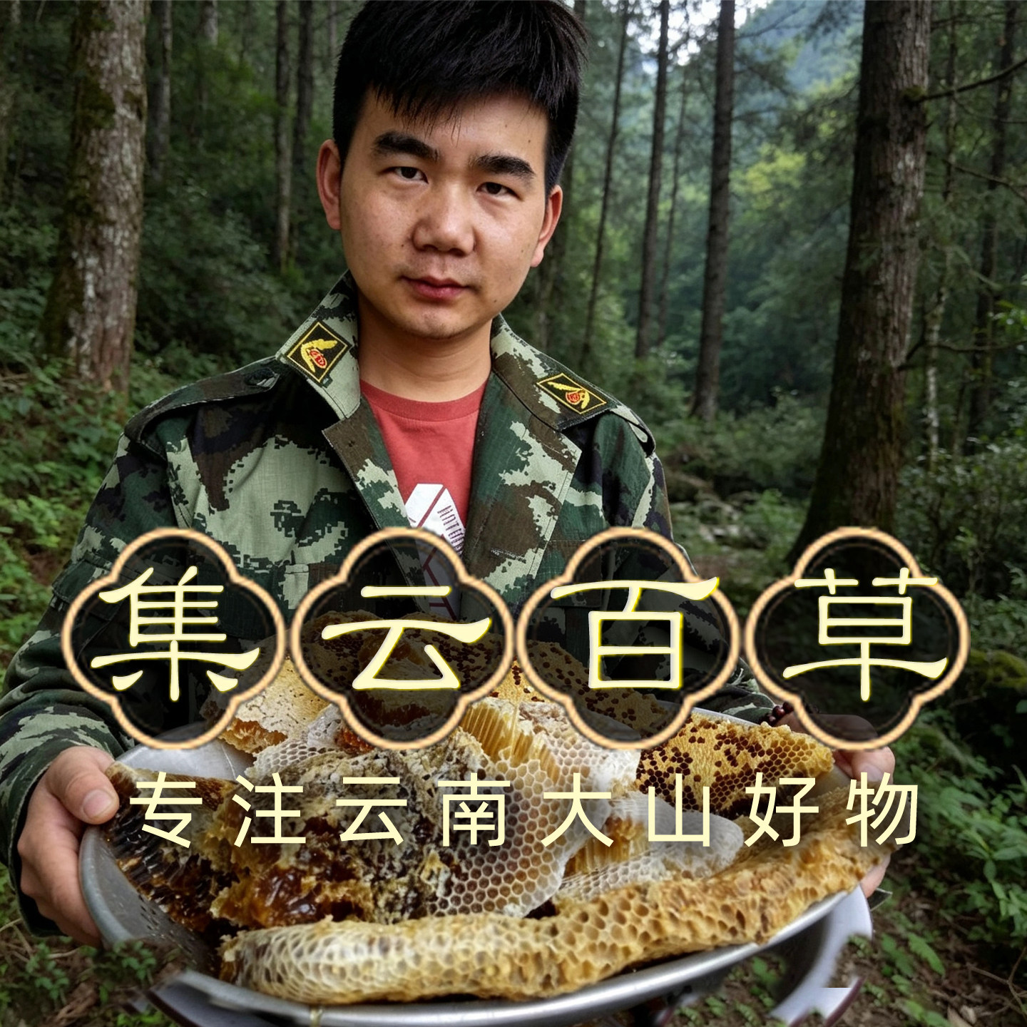 集云百草[10年老店]