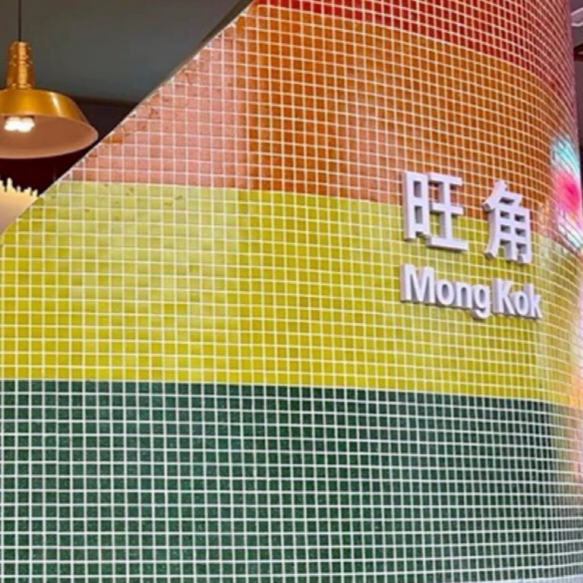 YOUYOUCAO建材