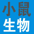 小鼠生物