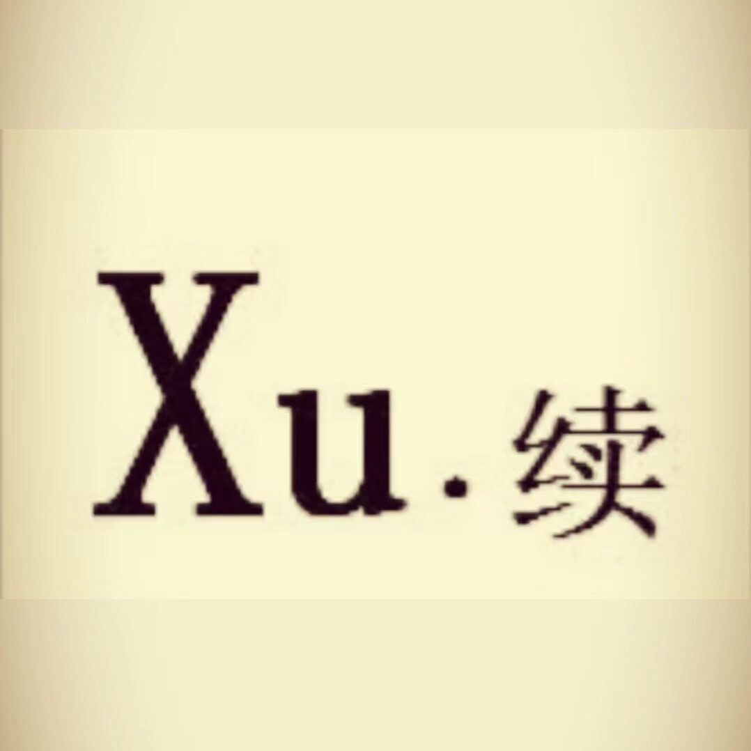 点续女装 店铺LOGO