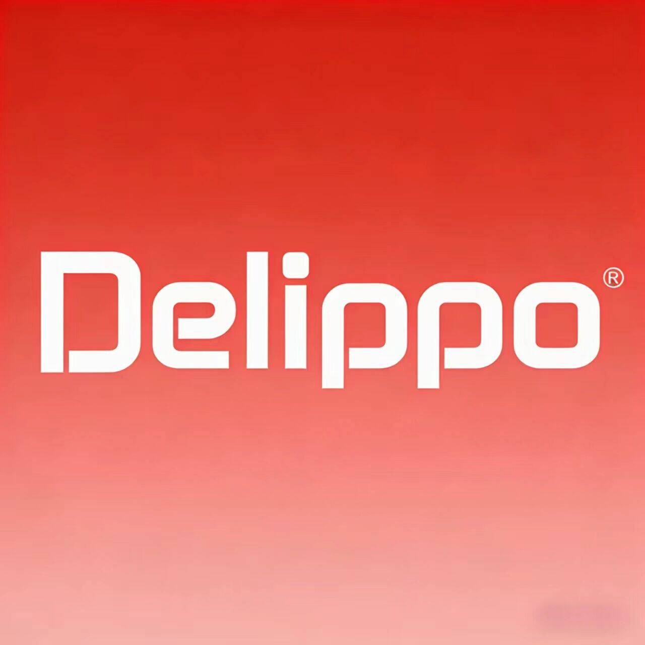 Delippo电源工厂专供店