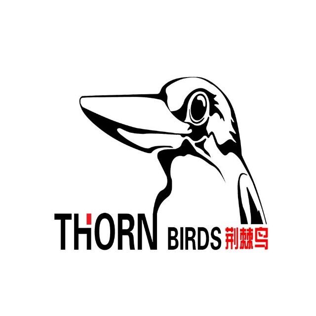荆棘鸟深圳速干校服总店 店铺LOGO