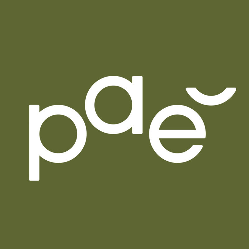 pae旗舰店