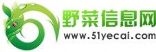 野菜野生水果