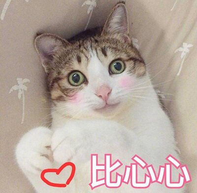大猪手作
