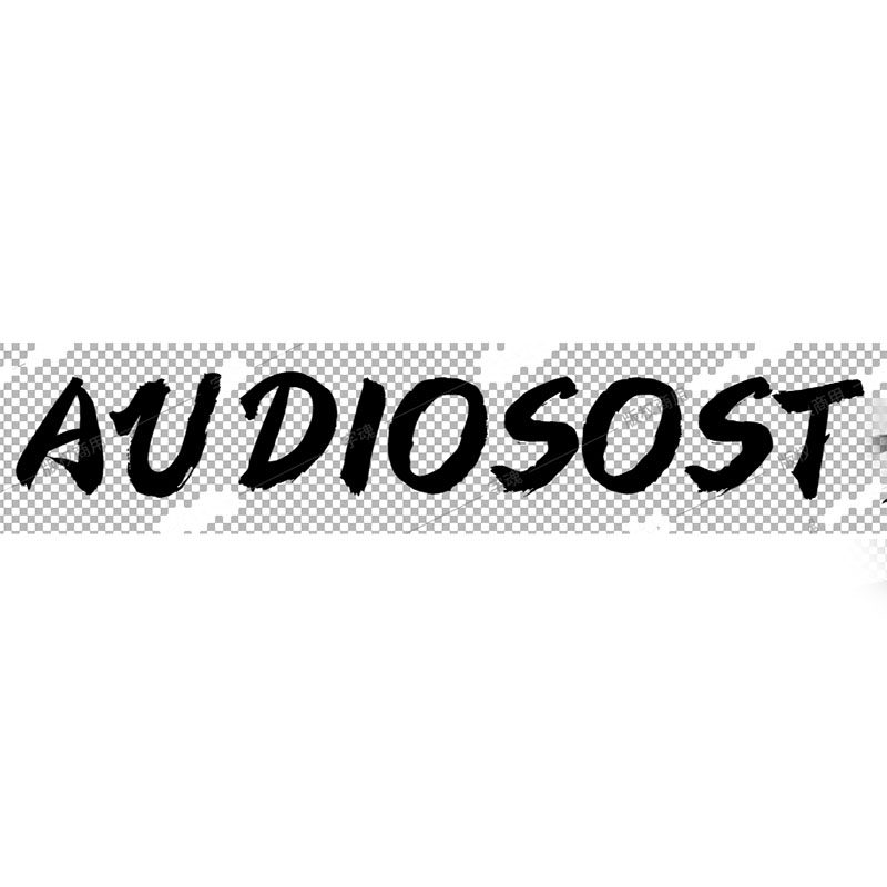 audiosost影音旗舰店