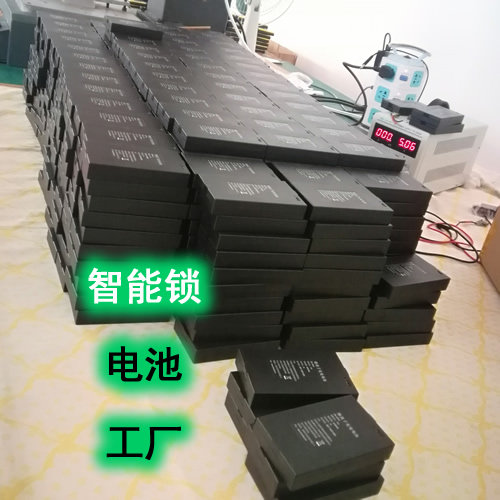 智能锁专用锂电池工厂 店铺LOGO