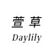 萱草的集合店