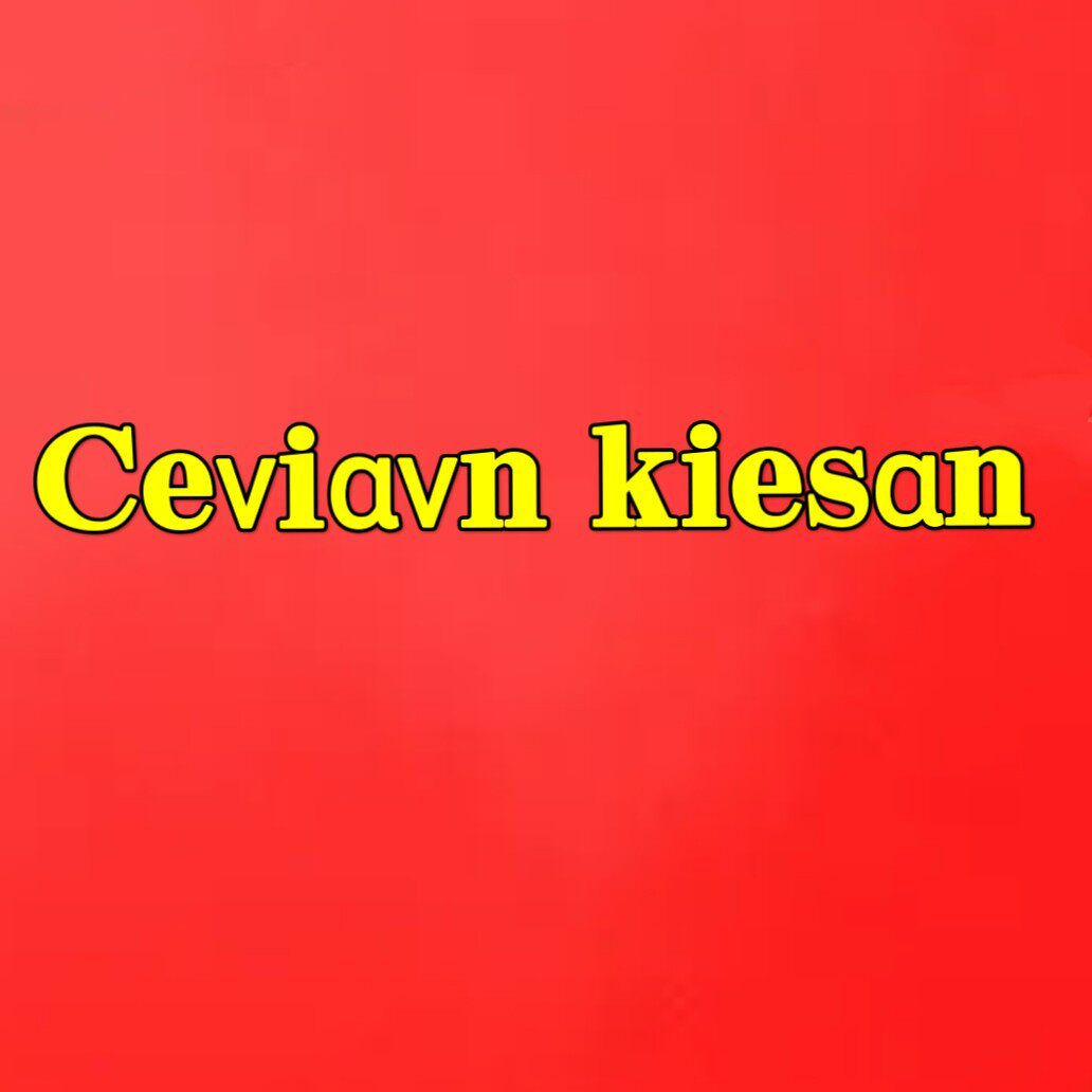 ceviavn  kiesan 皮具