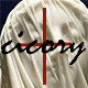 cicory世可儿泳衣 店铺LOGO