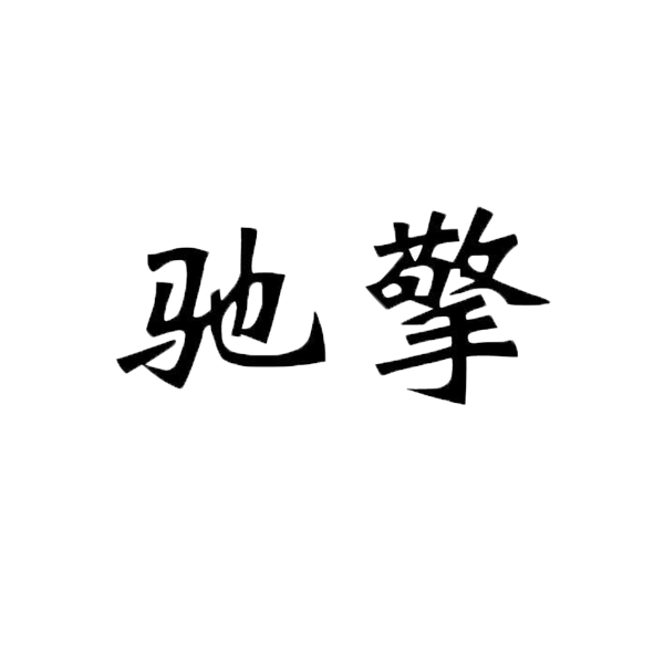 驰擎旗舰店