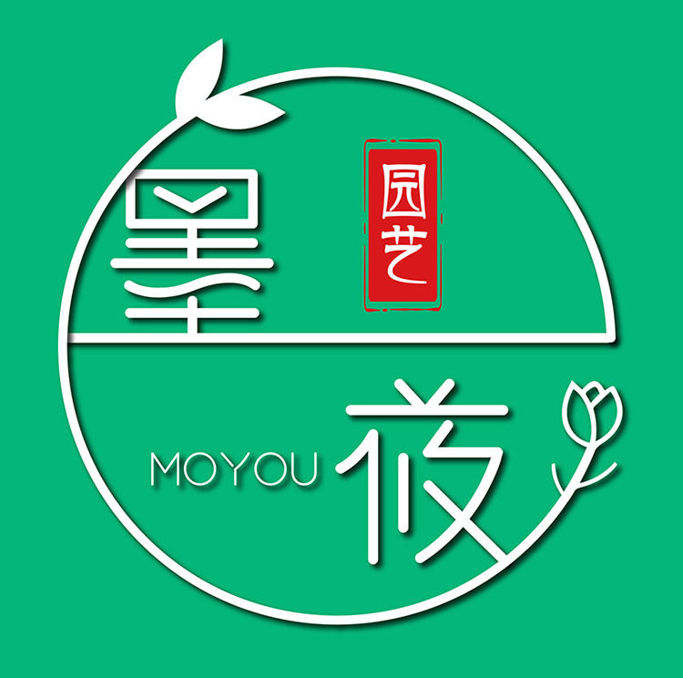 墨莜旗舰店