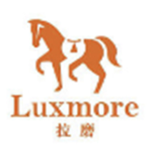 掌通时代拍卖店 店铺LOGO