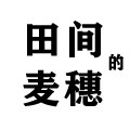 田间的麦穗