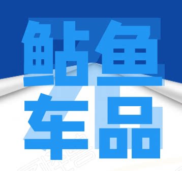 鲇鱼车品企业店