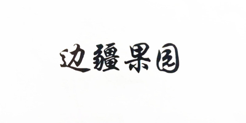 新疆味道  边疆果园