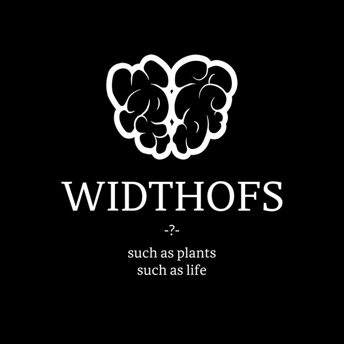 WOS 植物美学盆器