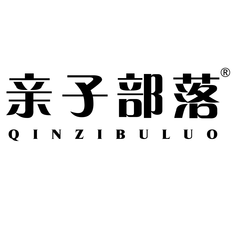 晟轩玩具专营店