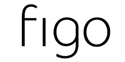 figo车载净化器工厂直营店