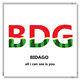 BDG集饰 店铺LOGO