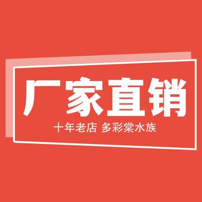 多彩棠水族