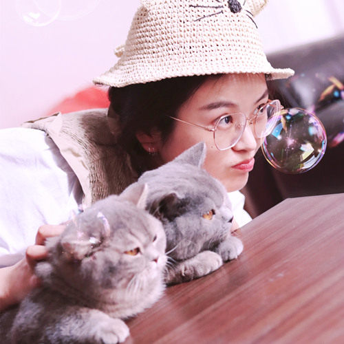 梅子猫